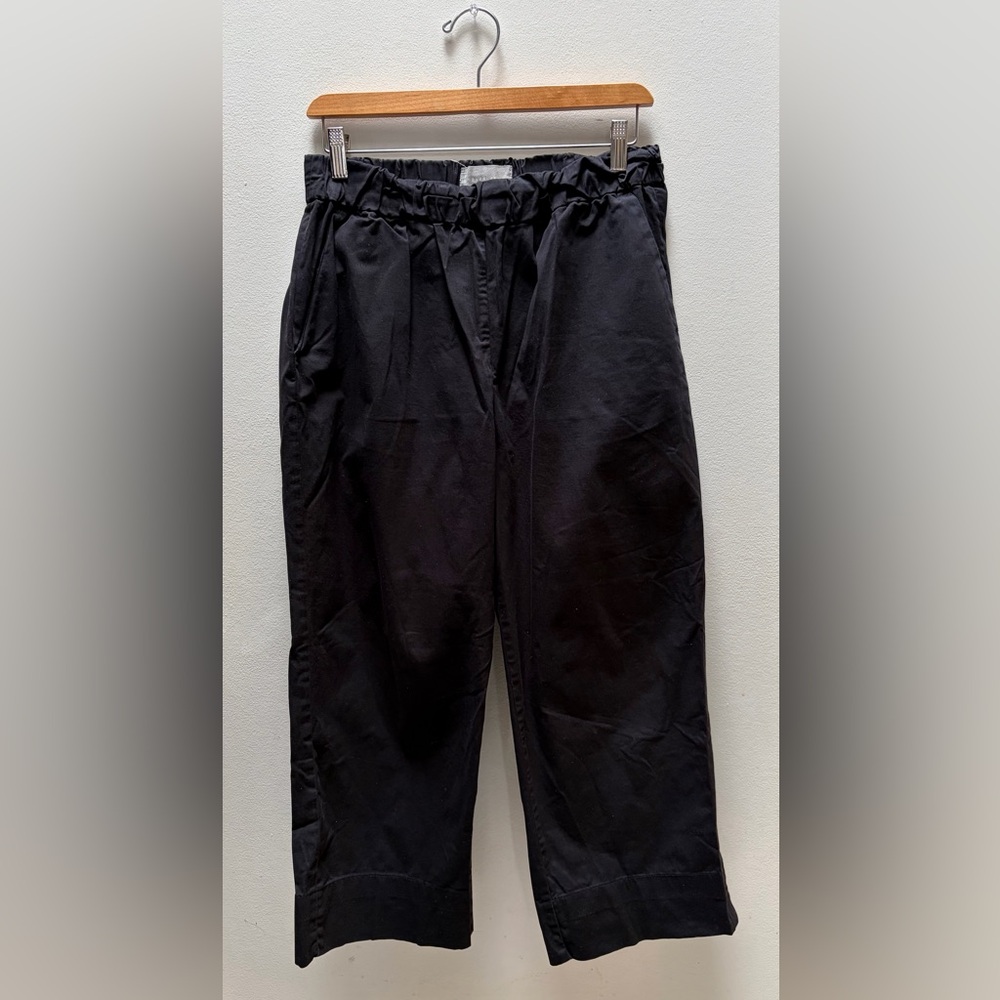 Everlane Black Wide Leg Cropped Pants